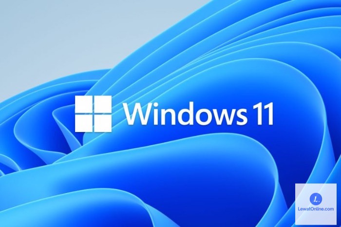 7 Cara Downgrade Windows 11 ke 10