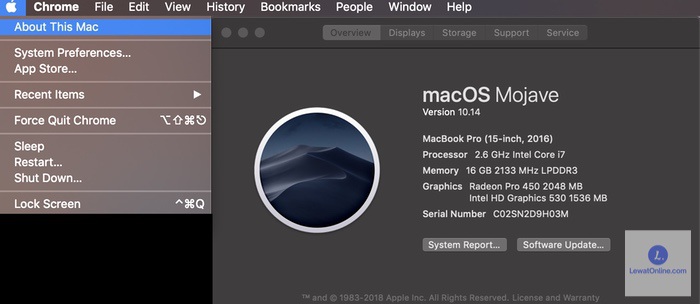Lalu klik ikon tersebut sampai muncul menu di about this Mac