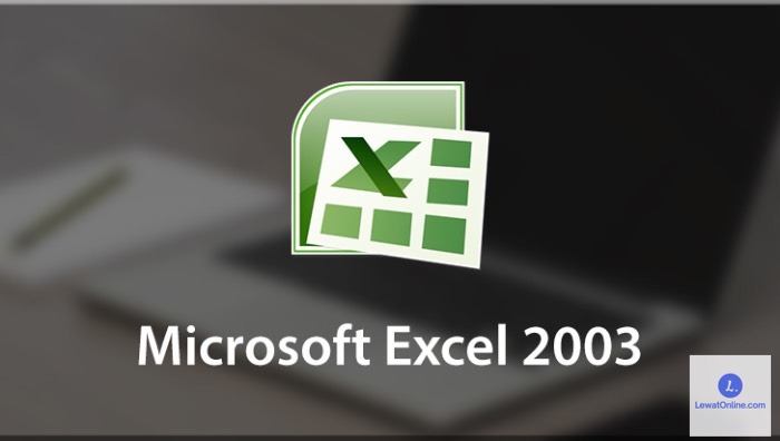 3 Cara Membuat Tabel di Excel 2003