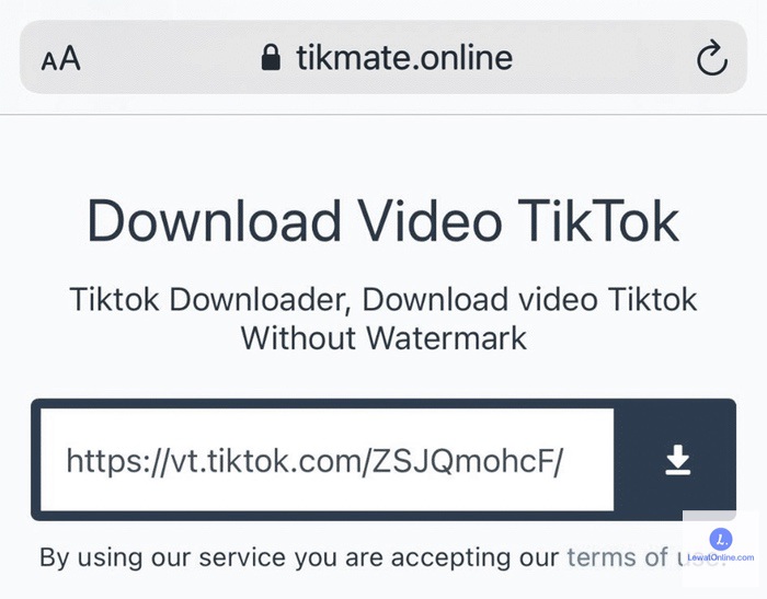 Tempel tautan video di kolom unduhan yang ada pada halaman web TikMate